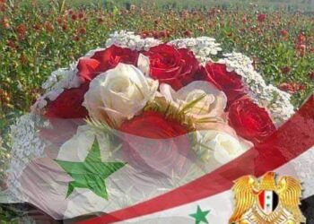 كم أشتهي بقلم رغده حميشه