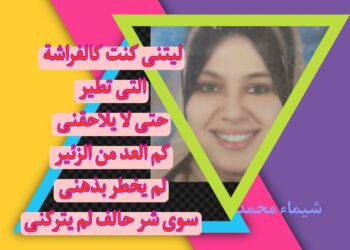 ليتنى كنت كالفراشة التى تطير بقلم شيماء محمد