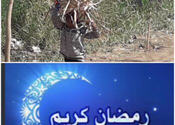 رمضان  …..   السوشيال الميديا .