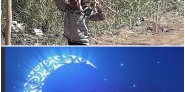 رمضان  …..   السوشيال الميديا .