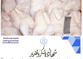 ضبط ١٨٠٠ دجاجه فاسده بأحد مستشفيات الرعايه بالأقصر