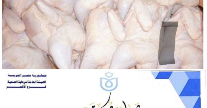 ضبط ١٨٠٠ دجاجه فاسده بأحد مستشفيات الرعايه بالأقصر