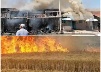 ابناء الغنوشي …. يتبعون سياسة الأرض المحروقة بتونس