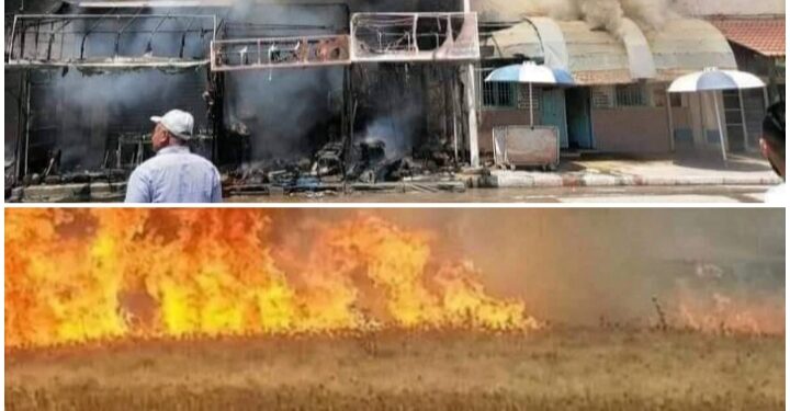 ابناء الغنوشي …. يتبعون سياسة الأرض المحروقة بتونس