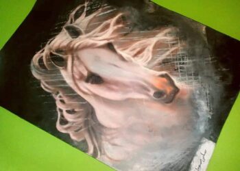 نافذة الروح ..بقلم : سلمى صوفاناتي