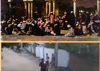 الغالي ثمنه فيه ،، مثل شعبي غير صحيح