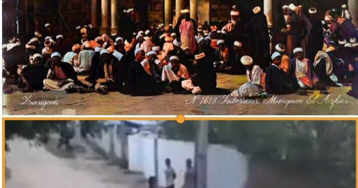 الغالي ثمنه فيه ،، مثل شعبي غير صحيح