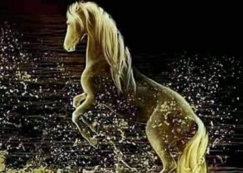 أكرهها،،،،، ،، أنور مغنية