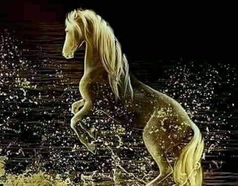 أكرهها،،،،، ،، أنور مغنية