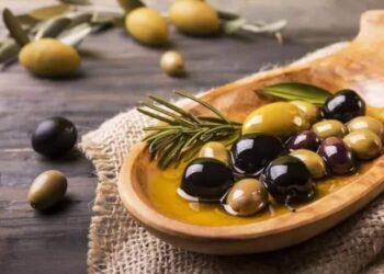 الزيتون.. كنز الصحة والعافية