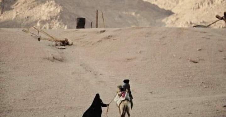 تعرف على من حملت نورا ولقبت ب(زهرة قريش )