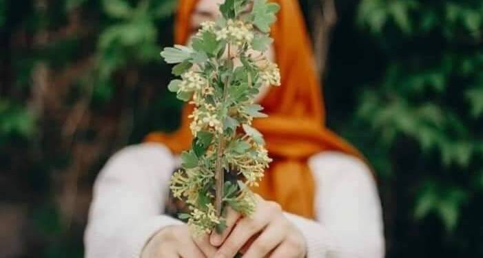 كيف تعيش حياة سعيدة،،،،، هانم الصادق