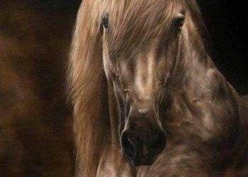 سأرثيكِ يا بغدادُ بالشعرِ باكيا ، ، للشاعرالبكاي كمال