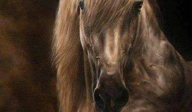 سأرثيكِ يا بغدادُ بالشعرِ باكيا ، ، للشاعرالبكاي كمال