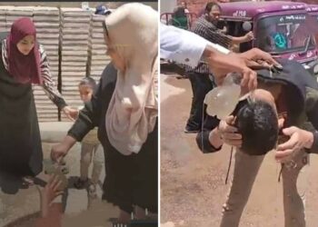 أليس منكم رجل رشيد ؟!