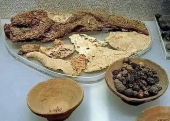 تعرف على…عشاء عمره ٣٥٠٠ سنة