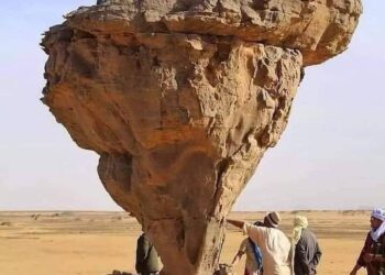 تعرف على …. صخرة الفطر