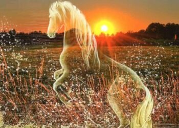 ربما،،،،،أنور مغنية،، ،