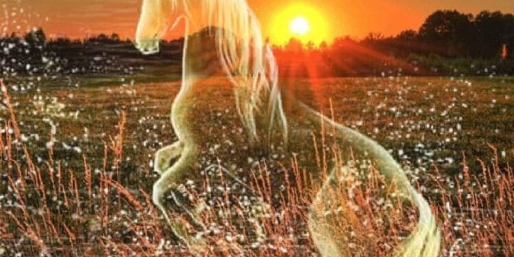 ربما،،،،،أنور مغنية،، ،