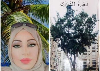 صُوَر محسوسة في شجرة الشورى