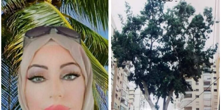 صُوَر محسوسة في شجرة الشورى