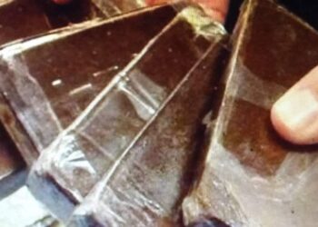 ب”6″ طرب حشيش سلطانة الكيف في قبضة المباحث بجرجا سوهاج