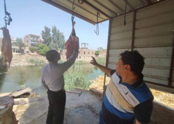 حمله مكبره من الطب البيطرى وحماية المستهلك للتفتيش على المجازر فى أخميم سوهاج