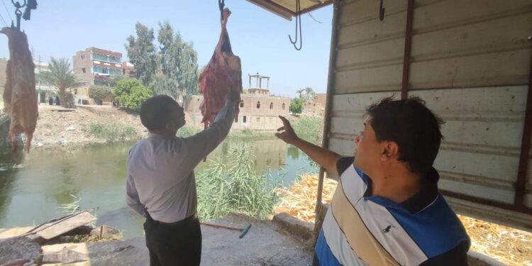 حمله مكبره من الطب البيطرى وحماية المستهلك للتفتيش على المجازر فى أخميم سوهاج