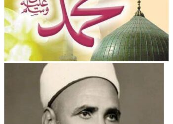 شجرة النور الزكية من النفحات الحامدية في مولد خير البرية بقلم أ . د محمد عبدالجليل