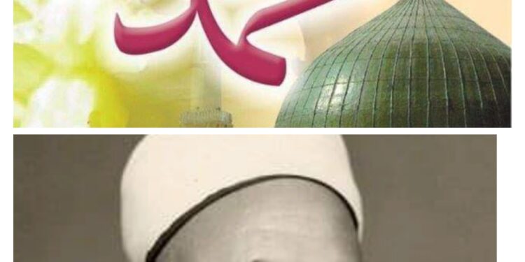 شجرة النور الزكية من النفحات الحامدية في مولد خير البرية بقلم أ . د محمد عبدالجليل