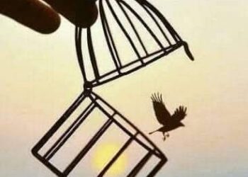 ترياق الحياة بقلم نادية الحوشي