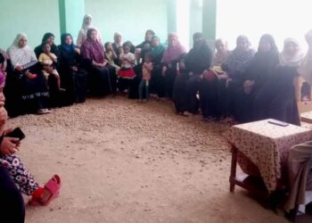 محافظ أسوان يتابع تنظيم 18 من جلسات الدوار للتوعية المجتمعية بقرى إدفو وكوم أمبو