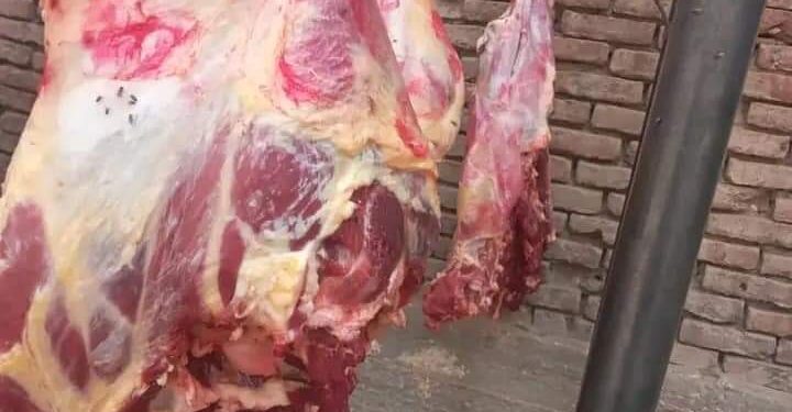 ضبط 16كيلو لحوم ذبح خارج المجزر وتوجد عليها اختام غير حكومية وتحرير6 محاضر باسنا جنوب الأقصر