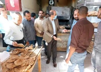 تموين الاقصر ضبط مخبز مغلق أثناء مواعيد العمل و15كيلو دواجن منتهية الصلاحية في حملة مكبرة بارمنت