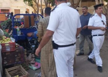 حملات تفتيشية مكثفه فى الاقصر …