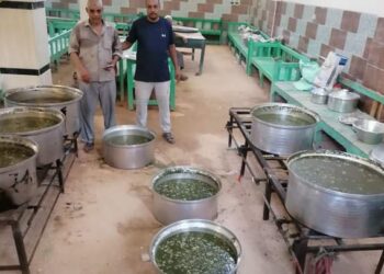 اكلة الملوخية احتفال اهالى نجع العقاربة بالطود بذكرى المولد النبوي الشريف