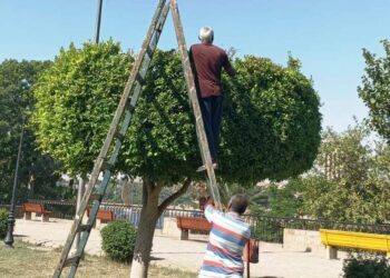 أسوان تستضيف المهرجان الدولى السادس للتمور…تقرير نورا عواجه