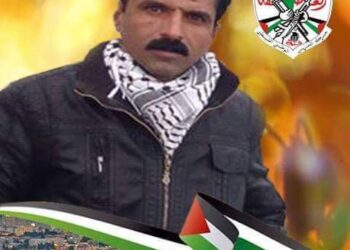 مصر السند لفلسطين بقلم د ناهض اصليح  فلسطين