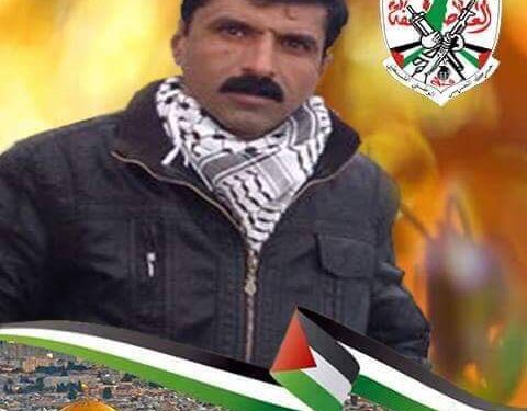 مصر السند لفلسطين بقلم د ناهض اصليح  فلسطين