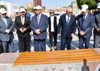 وزير التنمية المحلية ومحافظ أسوان يتفقدان مشروع نمشي أهل مصر تقرير نورا عواجة
