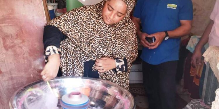 محافظ أسوان يتابع جهود التحالف الوطنى للعمل الأهلى التنموى لتمويل 23 مشروع صغير بتكلفة 109.5 ألف