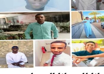 وفاة سبعة شباب من خيرة شباب نصر النوبة بأسوان وإصابة آخرين