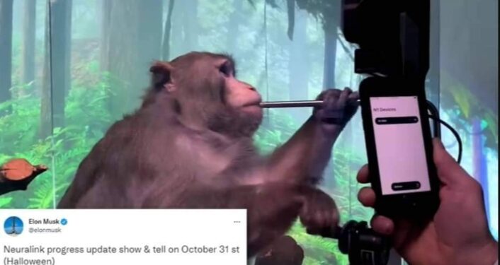 بعد التجربة على قرد.. إيلون ماسك يؤجل إقامة عرضه الخاص بزرع رقاقات في أدمغة البشر