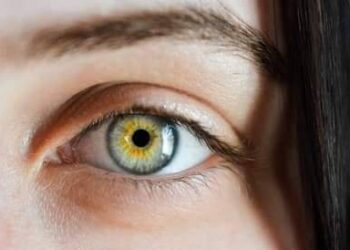 خلي بالك رؤية الذباب الطائر أمام العين ربما يشير إلى مرض خطير بقلم اسامة خليل مصر