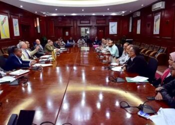 “محافظ الأقصر يتابع نسب التنفيذ بالمشروعات القومية ضمن حياة كريمة بإسنا وأرمنت