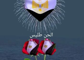 الشاعرة دالى عبد العزيز تكتب مصر