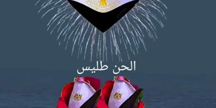 الشاعرة دالى عبد العزيز تكتب مصر