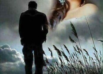 متى تفهم النساء كلمات الشاعرة دادا عبيد