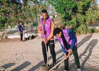 الشباب والرياضة تنفيذ مشروع  تشجير  بمحيط المراكز  بمحافظة الأقصر