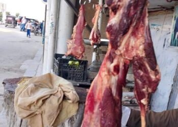بيطري الاقصر يتمكن من  ضبط 24كيلو من اللحوم البلدي المذبوحة خارج المجزر وتحرير عدد 6 محاضر